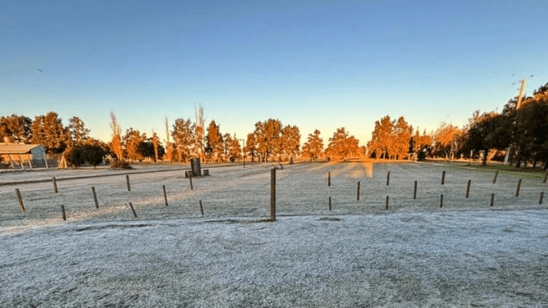 INTA: Hacer frente al frío polar: diseñaron un bebedero donde el agua no se congela