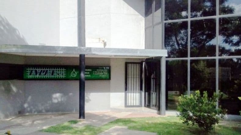 Fin del cepo al dólar: Inpla postergó pedidos por horas ante la incertidumbre cambiaria y desmintió versiones