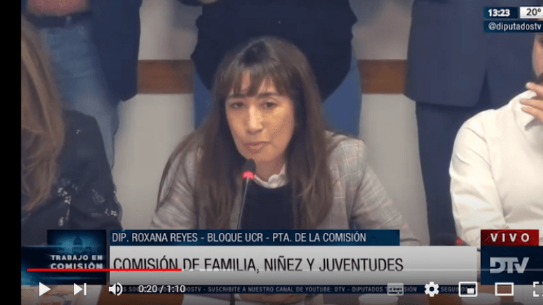En Diputados, Marisa Graham brindó detalles del informe anual de la gestión de la Defensoría