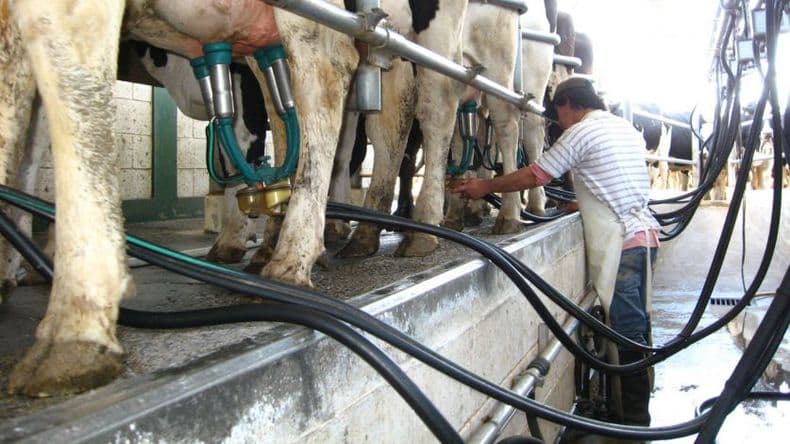 Lechería: Se consolida la escalada de la producción de leche cruda