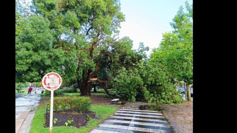 El temporal de viento, lluvia y granizo que azotó Miramar provocó la muerte de un joven de 18 años
