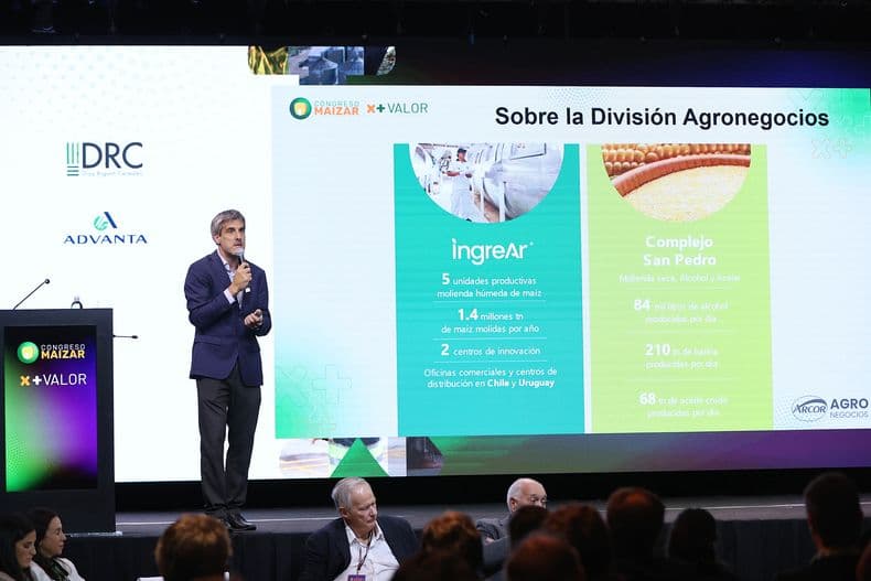 El aporte a la industrialización: el maíz está en "casi" todos lados y va por más
