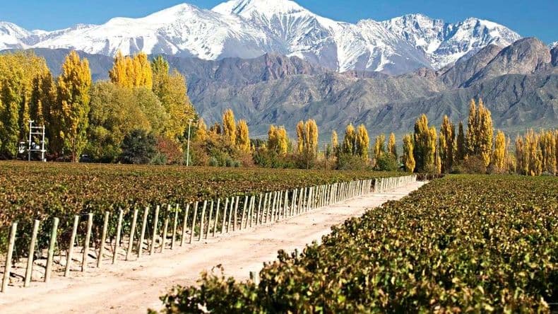 Mendoza será el escenario de la entrega de "Estrellas Michelin 2025"