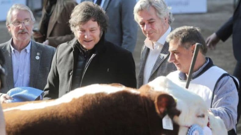 El Campo: ¿Vuelta a los noventa?