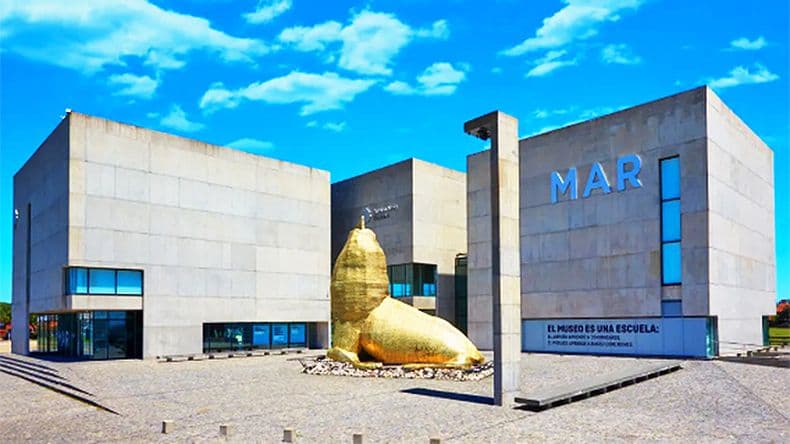 El Museo de Mar del Plata será sede de la muestra Vidas Submarinas que entrelaza
