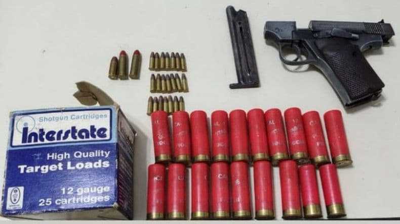 Tres operativos clave de la Sub DDI Zárate: siete aprehendidos y armas ilegales fuera de circulación