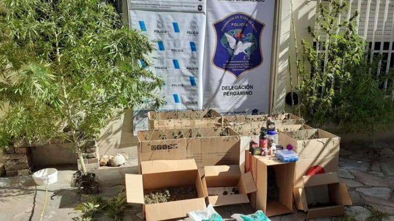 Incautaron gran cantidad de marihuana y detuvieron a un sujeto de 44 años en su casa