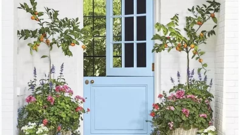 Puertas holandesas: tendencia en diseño y arquitectura en 2026
