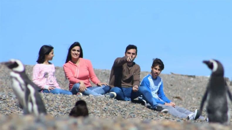 Avistaje de ballenas, pingüinos, orcas y toninas: todo en Puerto Madryn hasta diciembre