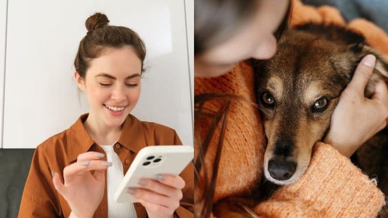 Seguros "a medida": tecnología, alquileres y mascotas, los más elegidos por los jóvenes