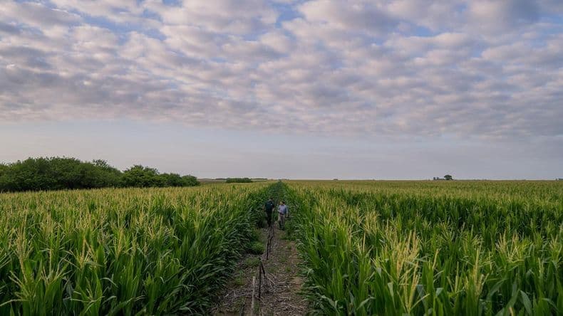 Supra Road: la gira que une genética, agronomía y territorio maicero