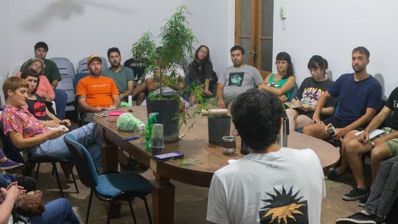 En la Región Sanitaria IV habrá un nuevo taller sobre autocultivo y uso terapéutico del cannabis