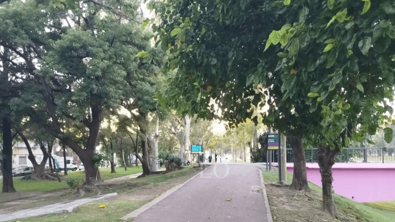 Una familia destrozada por un pelotudo