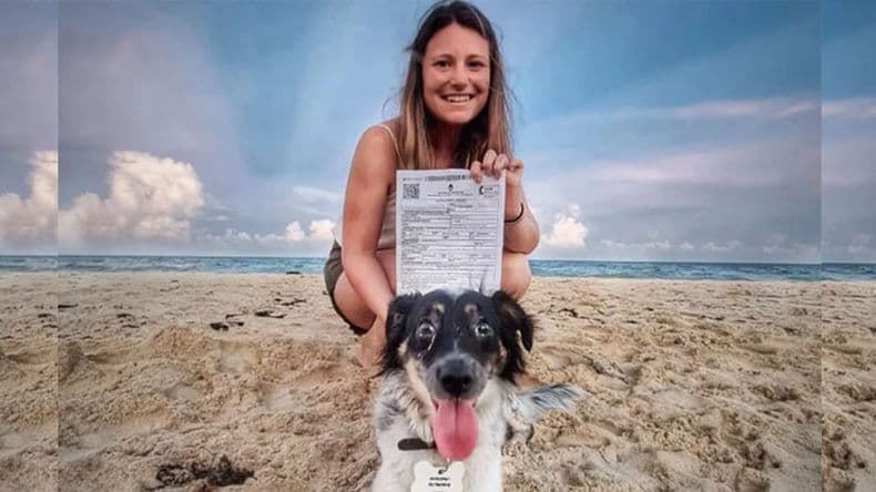 Vacaciones más cerca: cómo viajar con mascotas al exterior y cuánto sale