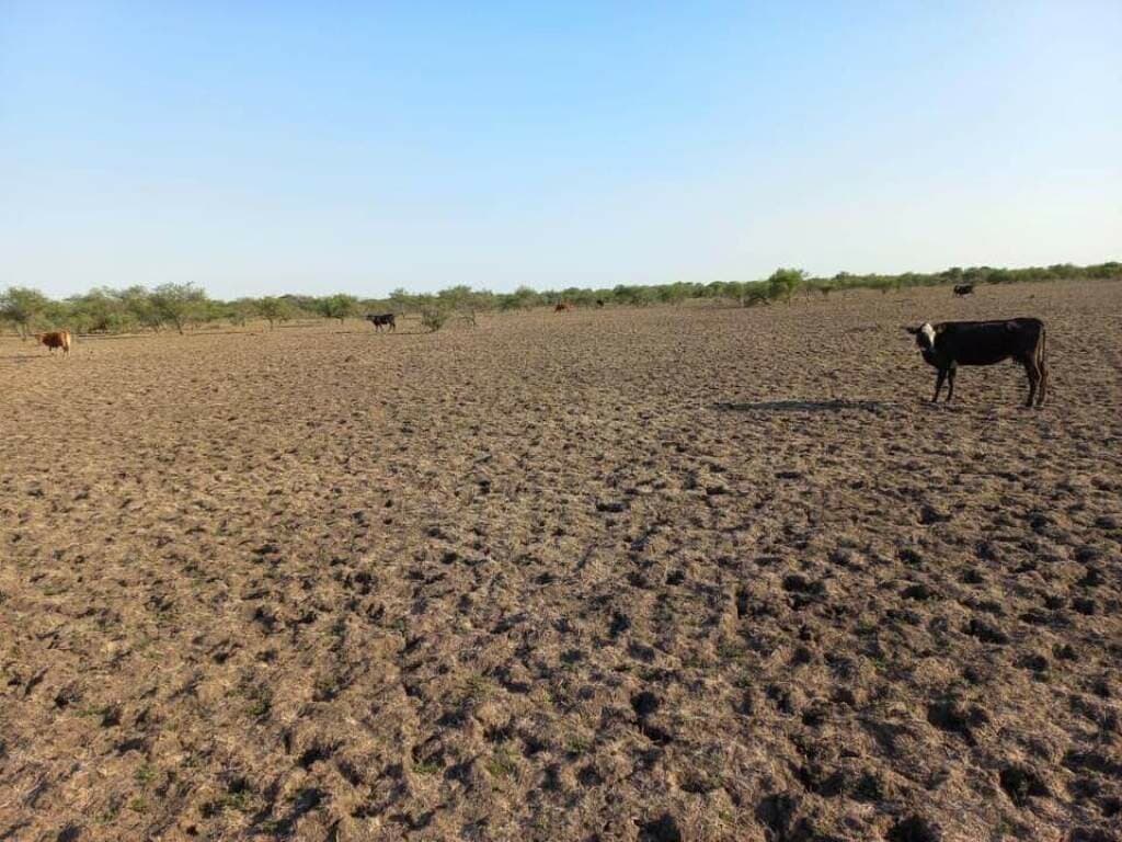 Insólito motivo que impide la llegada de agua al norte de Santa Fe