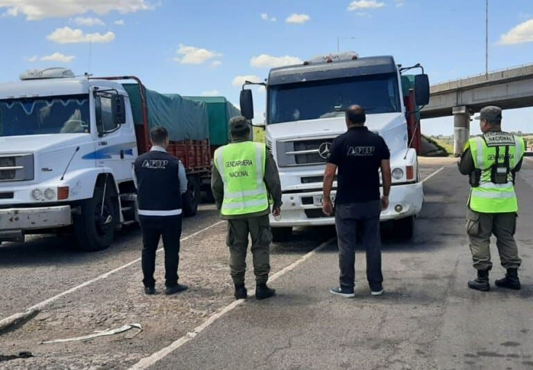 La AFIP incautó un contrabando de granos por más de $520 millones