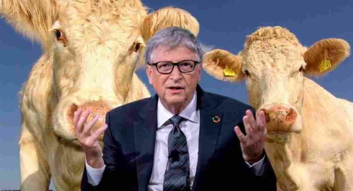 Apuesta millonaria de Bill Gates para revolucionar la ganadería