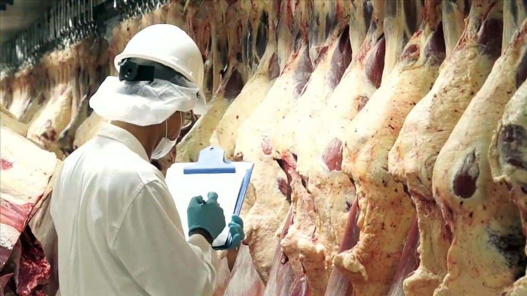 Argelia, otro mercado dispuesto a comprar carne argentina con hueso