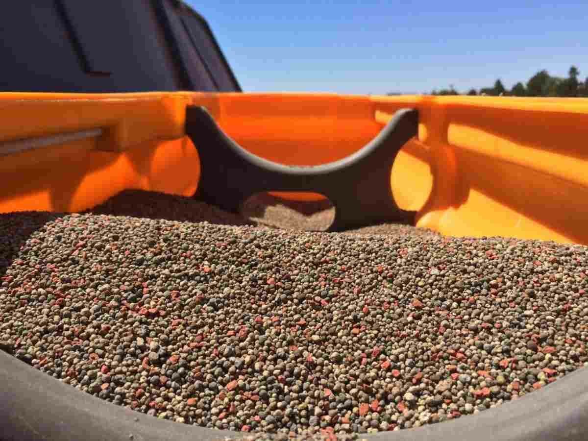 Con un trigo que consumió poco ¿hace falta fertilizar los cultivos de verano?
