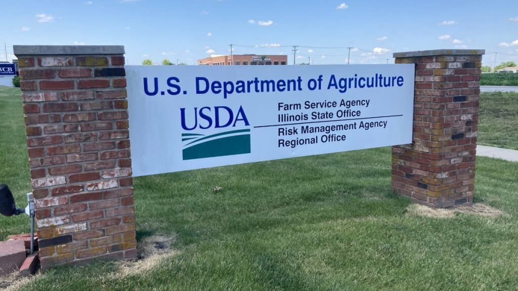 El USDA recortó la producción argentina de maíz y soja debido a la sequía
