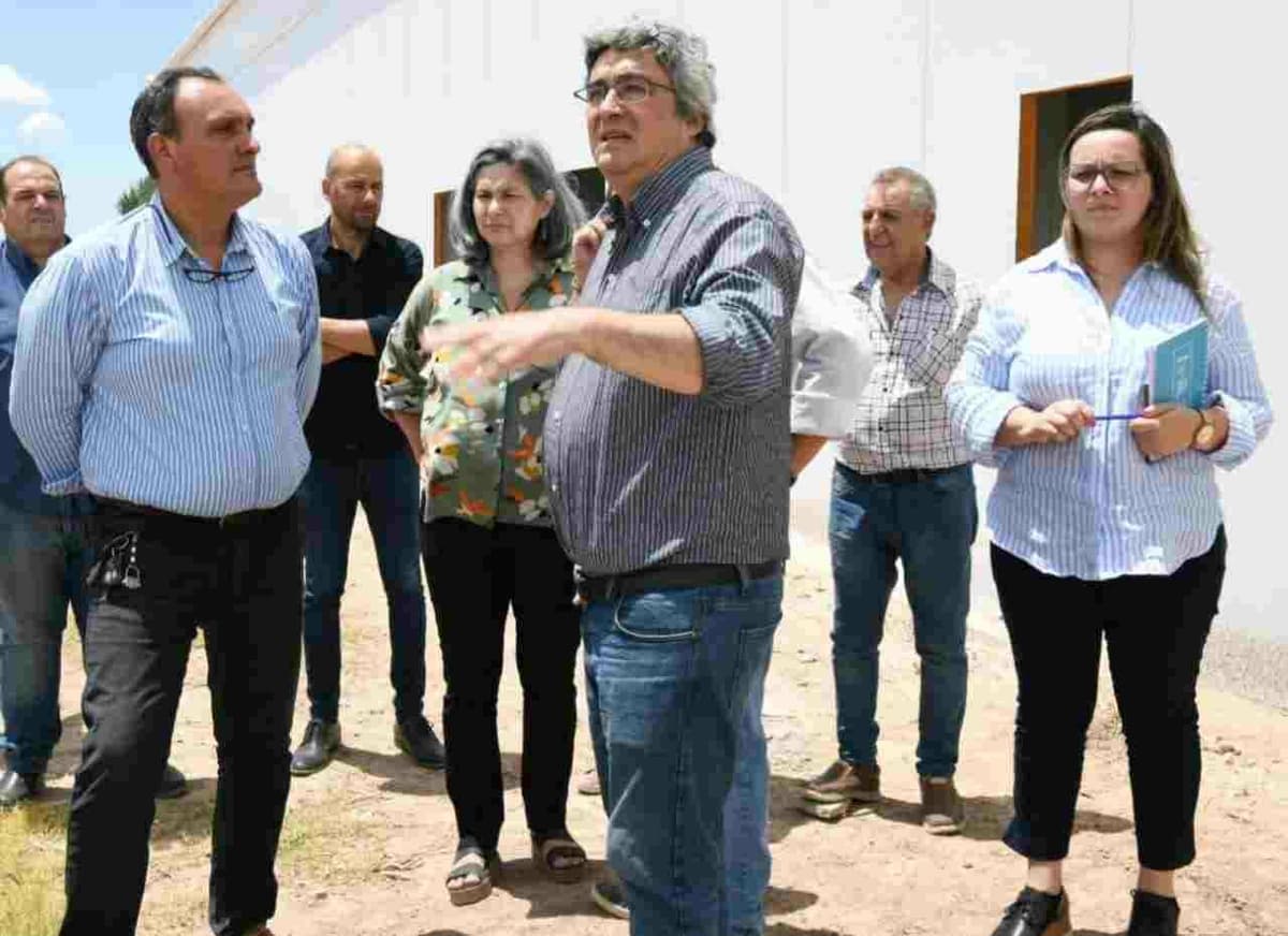 Arrecifes: la localidad bonaerense tendrá su frigorífico municipal de porcinos