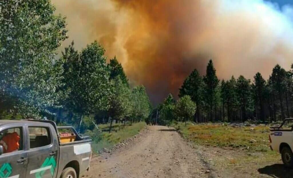 Incendios forestales en Tierra del Fuego ya consumieron 12 mil hectáreas