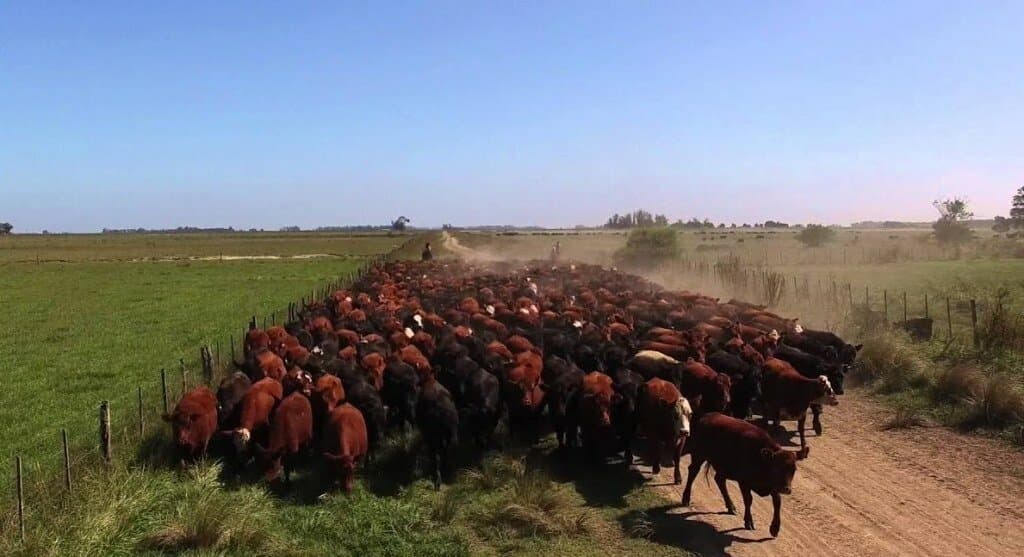 Pampa: el tractor argentino que nació por un conflicto bilateral
