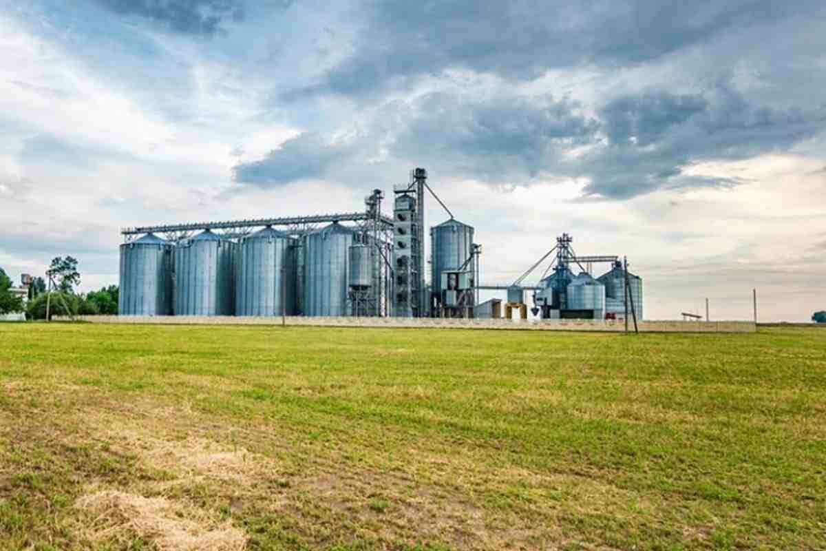 ¿Cuál es la tecnología invisible detrás de la producción de alimentos?