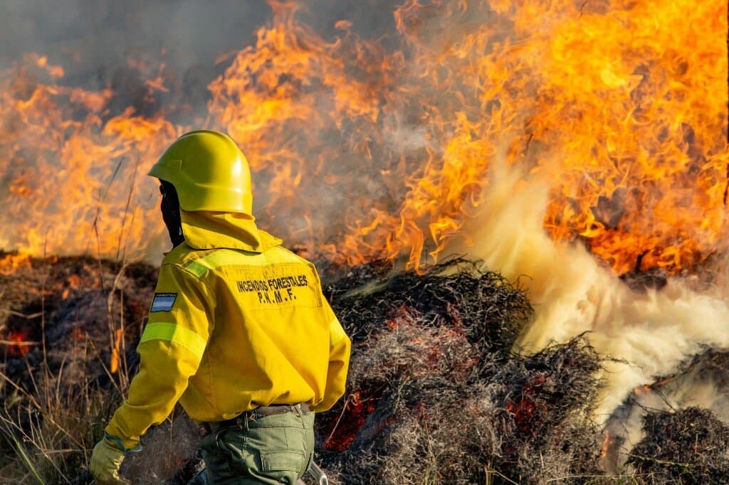 El Gobierno extendió por un año la emergencia por incendios forestales