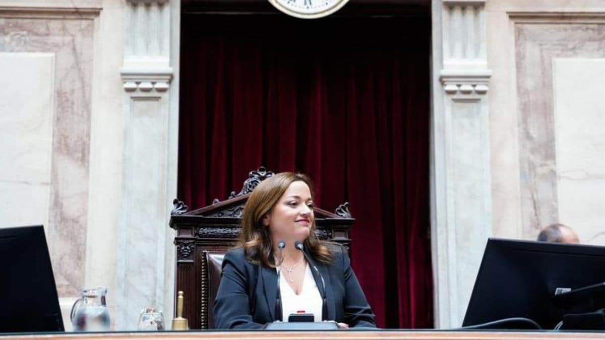Moreau celebró la media sanción que fortalece la Justicia de Santa Fe contra el narcotráfico