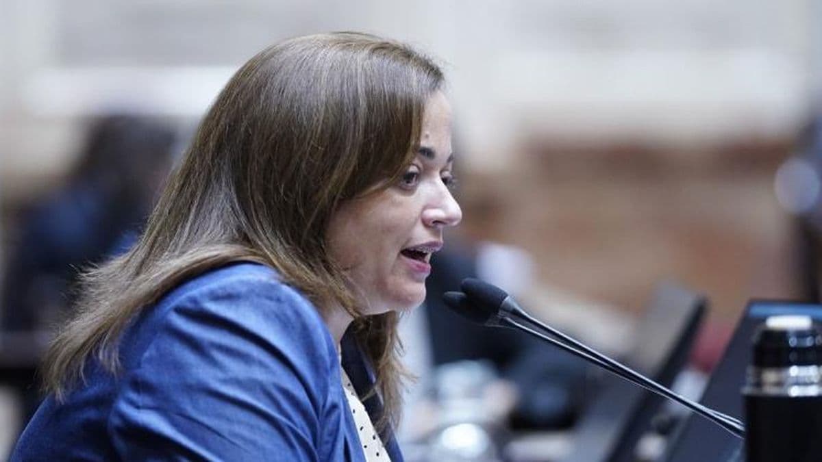 Cecilia Moreau: "Los senadores de Juntos no tienen empatía ni responsabilidad política"