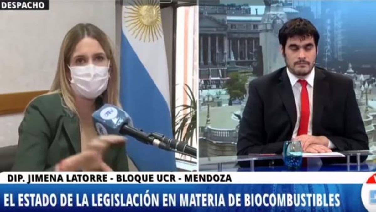 Diputados opinaron sobre el proyecto de ley de biocombustibles