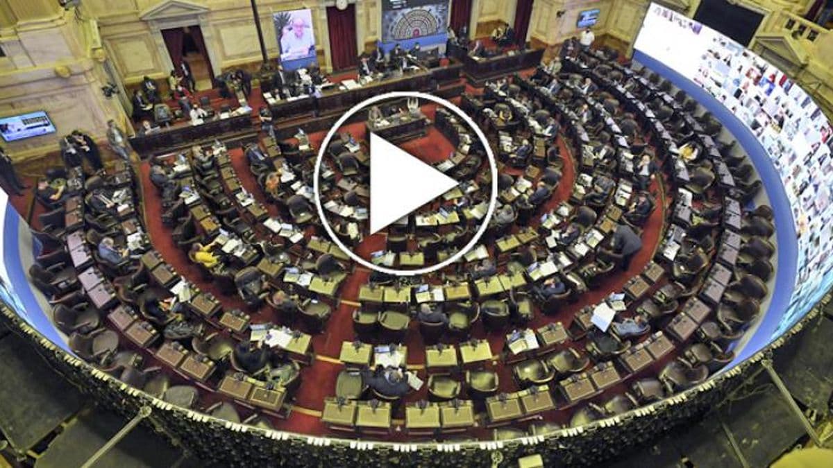 Diputados trabaja sobre proyectos de salud pública