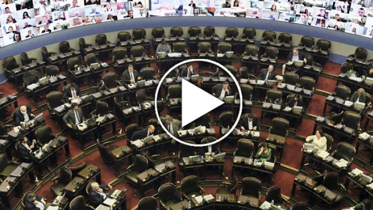 En vivo: Diputados trabaja en la ley de envases y reciclado inclusivo