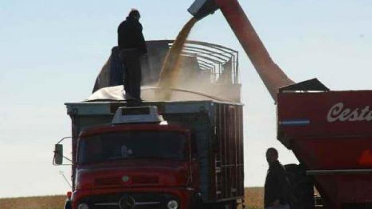 Las ventas de trigo marcan un récord para el momento del año