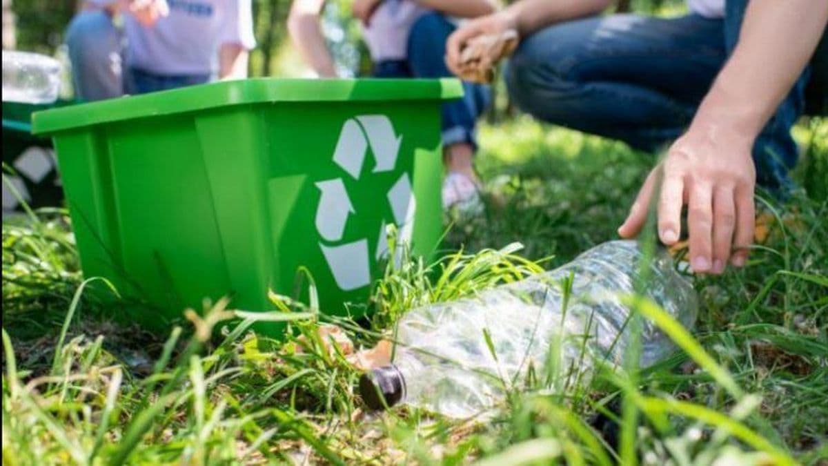 Día de la Educación Ambiental: tres "eco-gestos" para cuidar el planeta