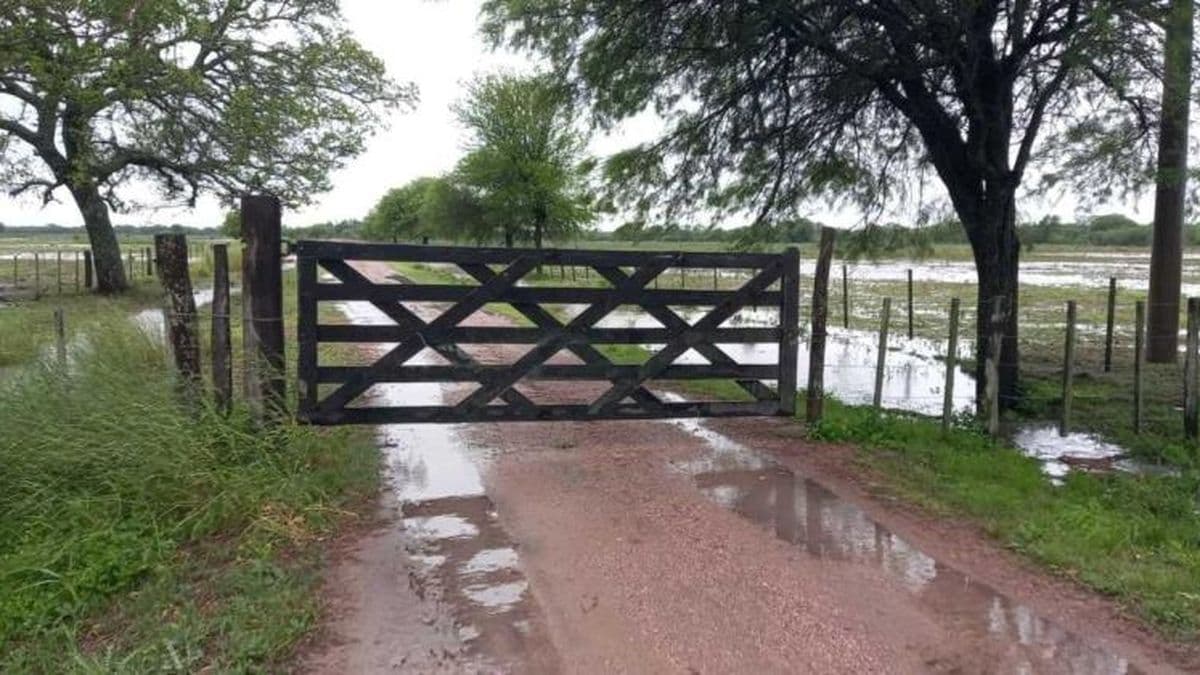 Lluvia, viento y frío en plena primavera
