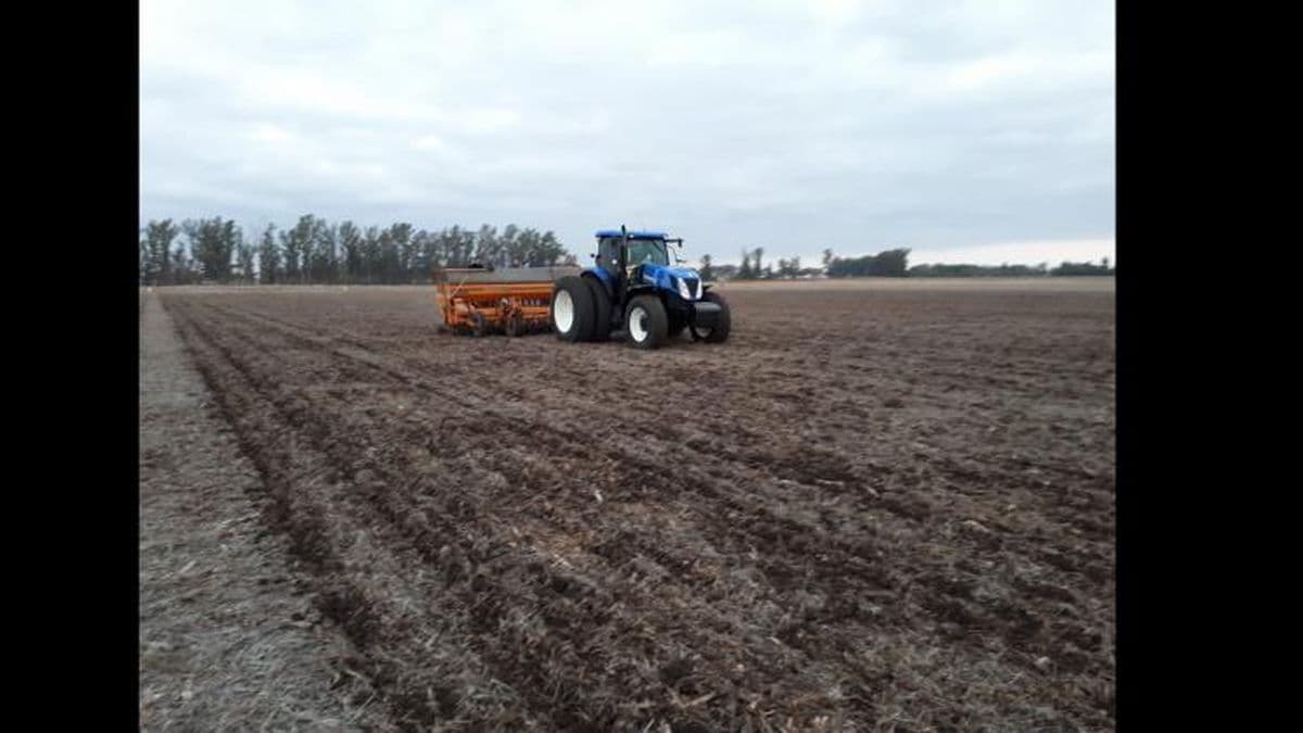 Bendita lluvia para el campo: en Pergamino se registraron 14,5 milímetros