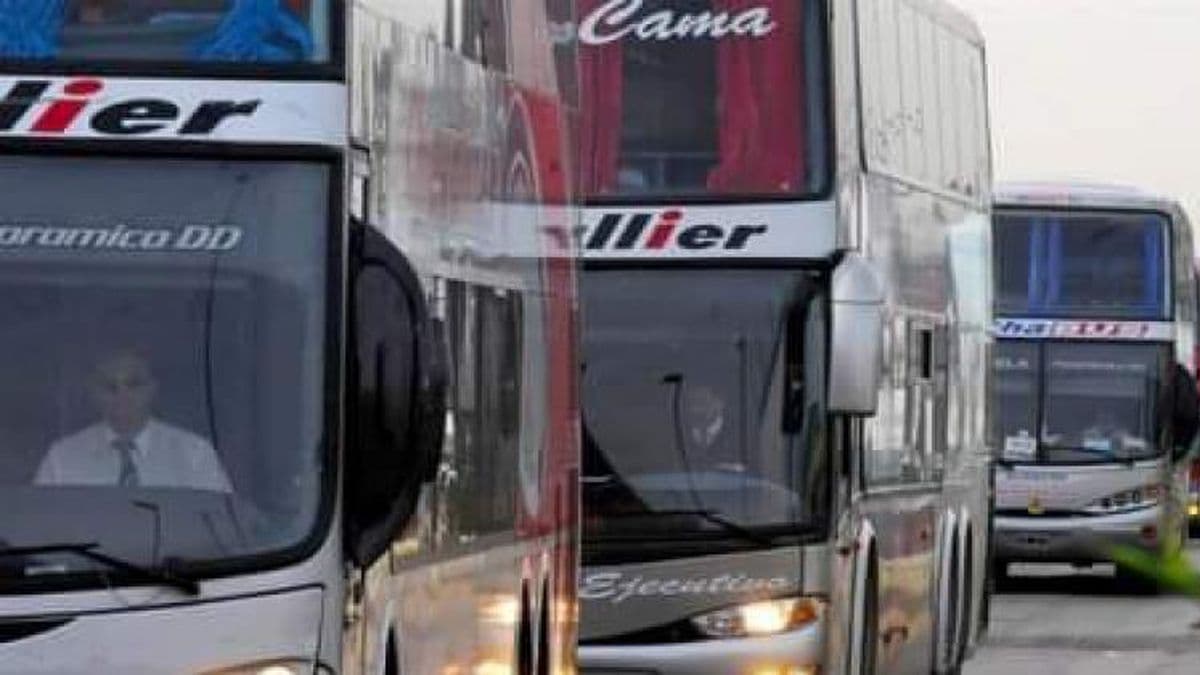 Los micros de larga distancia recuperan sus frecuencias