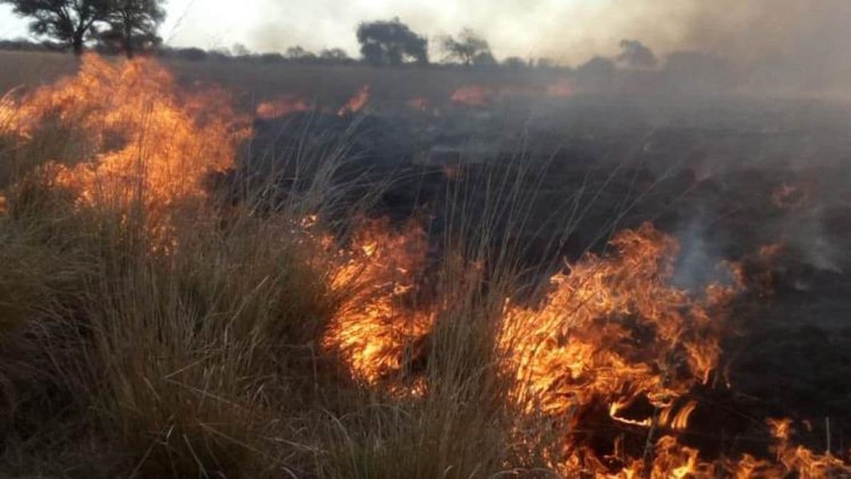 El viento y la sequía favorecen los incendios de pastizales en varias zonas de la ciudad