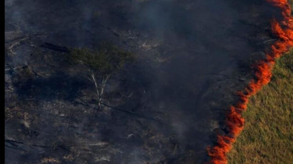 Cambio climático: el 3 de julio fue el día más caluroso a nivel mundial desde que hay registros