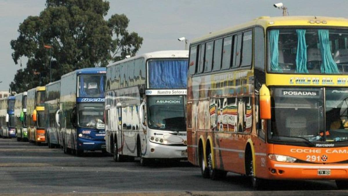 Los micros circularán al 100% de su capacidad desde octubre