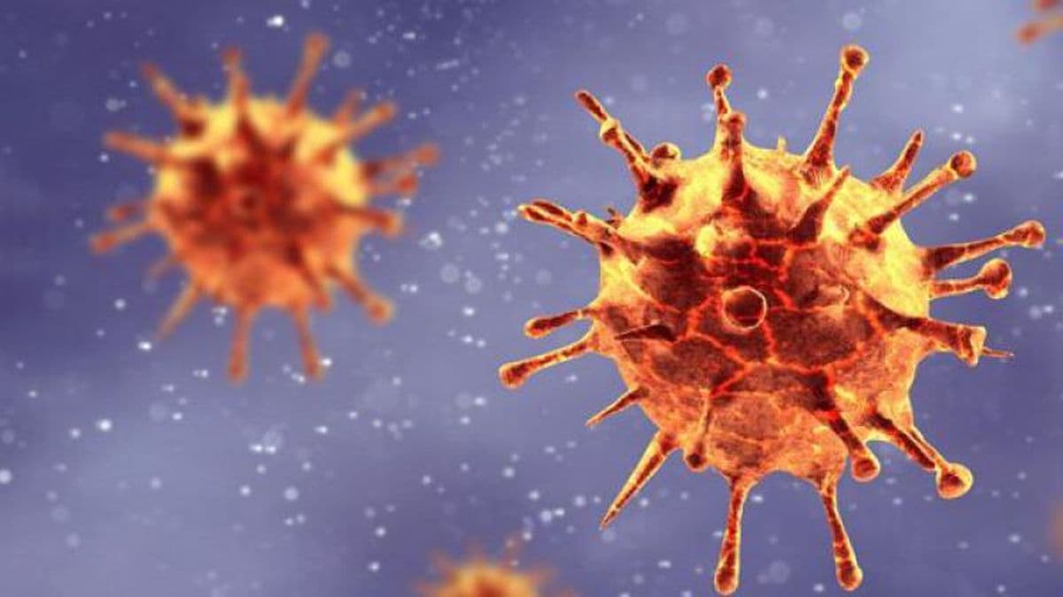 Once nuevos casos de coronavirus en la ciudad se registraron este viernes