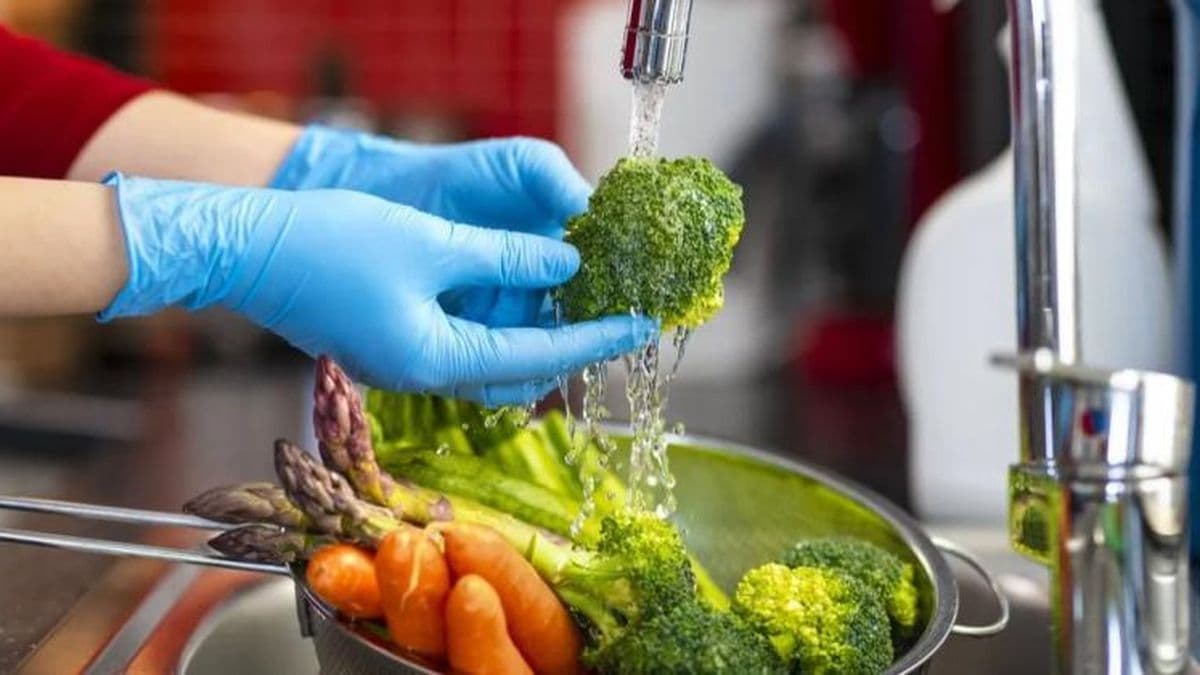 Bromatología en acción: capacitación para garantizar la seguridad alimentaria