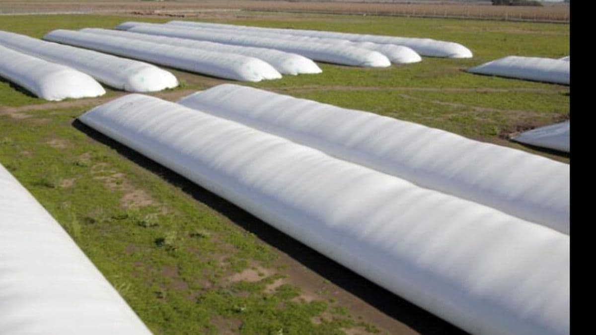 La Afip pone el foco en el agro y analiza medidas para aumentar los controles