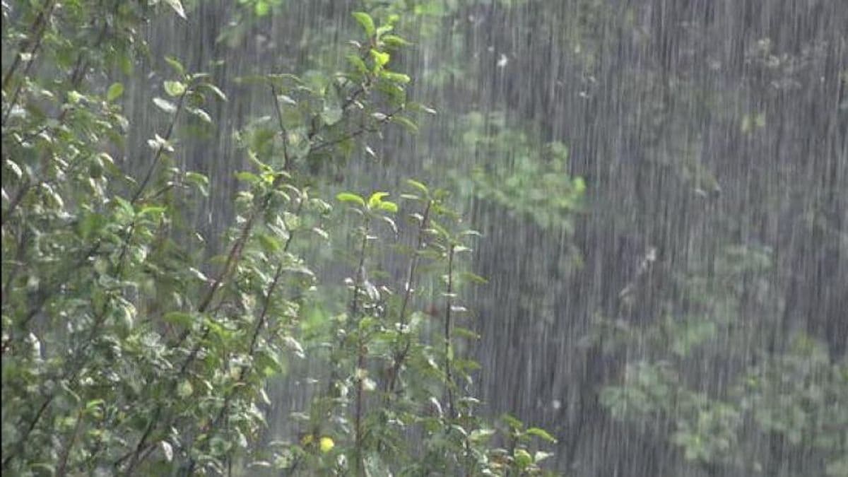 Intensas precipitaciones en Pergamino y la región: hasta el momento cayeron 28 milímetros
