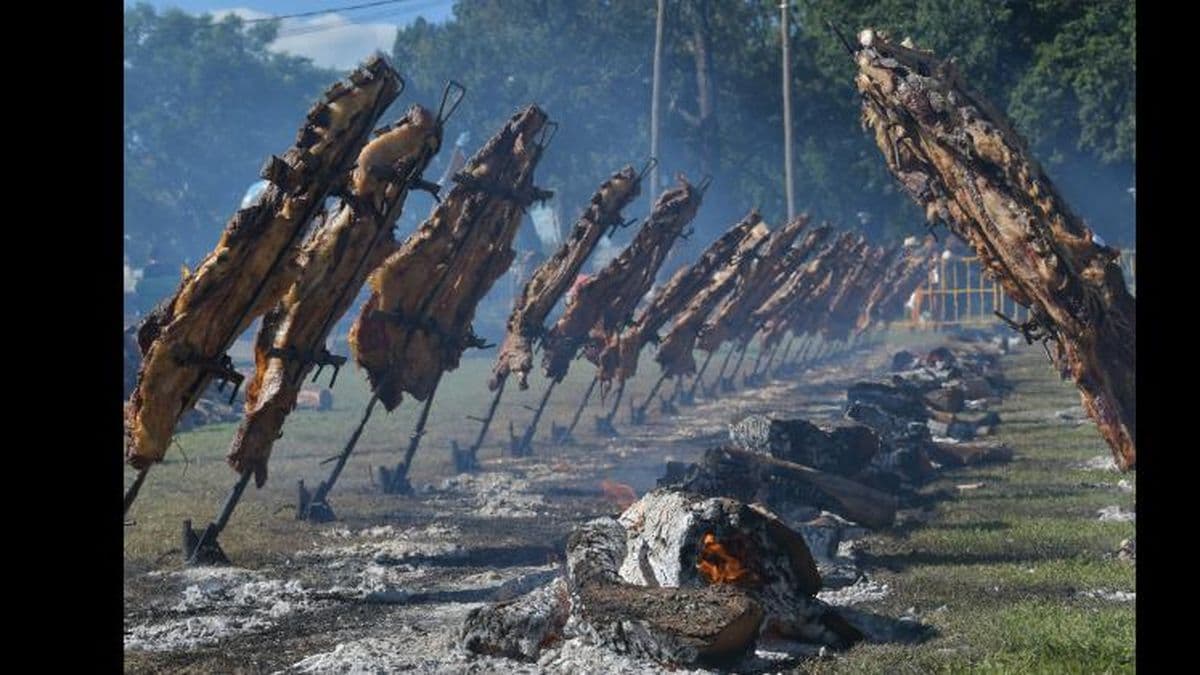 Anunciaron los precios de las entradas de la Fiesta Provincial de la Estaca