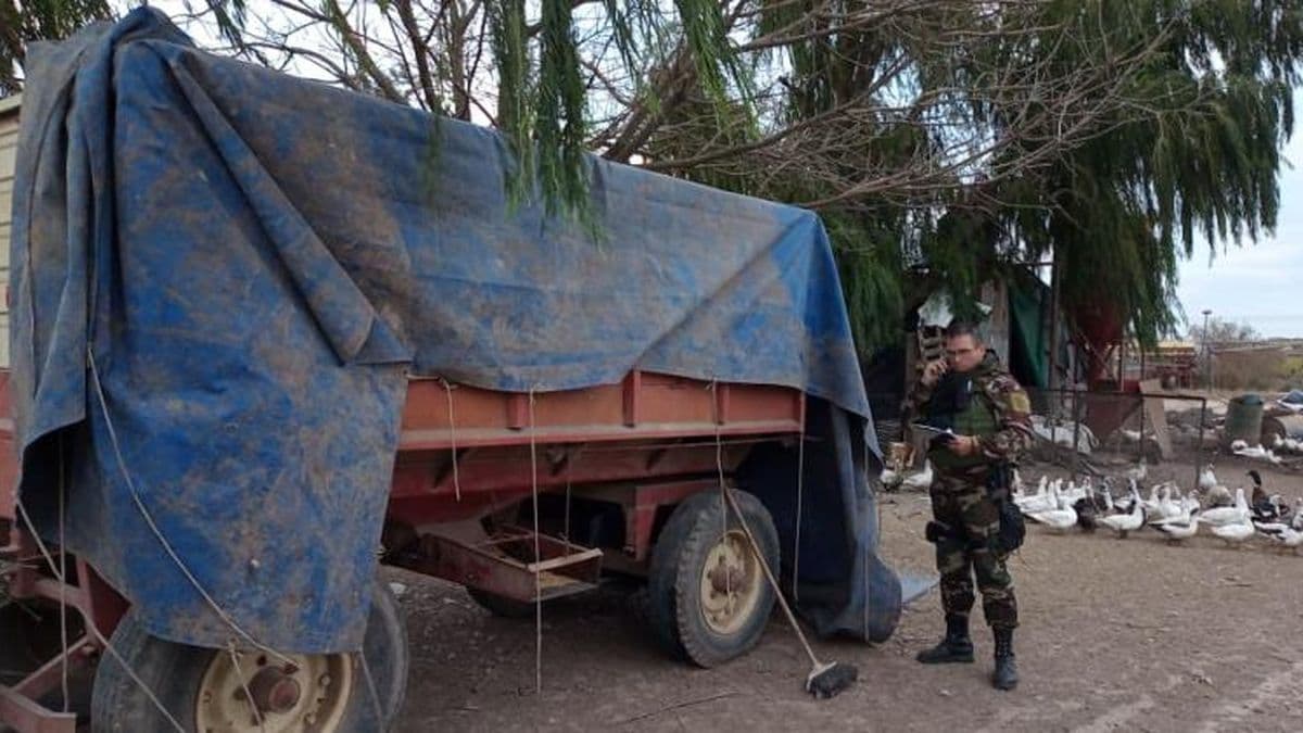 Rompieron silobolsas en dos campos y se robaron siete mil kilogramos de soja