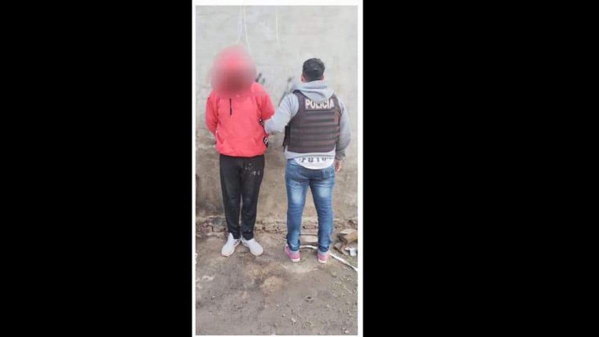 Robaron un ternero de la Escuela Agrotécnica hay un detenido