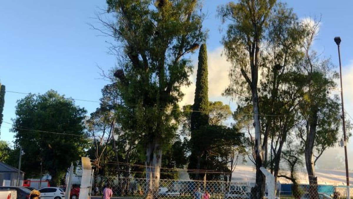 Incendio en uno de los quinchos del Parque Municipal